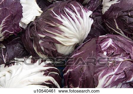 Stock Image - Purple cabbage heads. Fotosearch