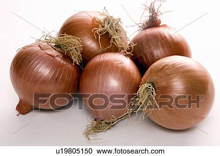 Red onions View Large Photo Image Stock Image - Red onions. Fotosearch