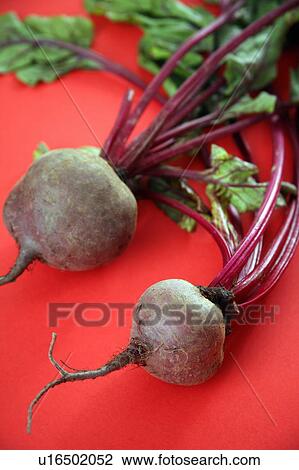Stock Image - Beet bulbs with greens. Fotosearch