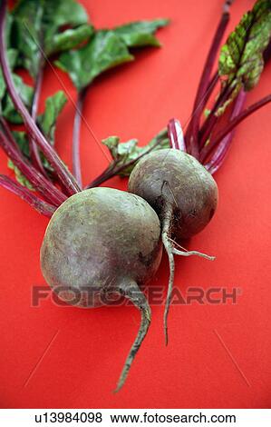 Stock Photo - Beet bulbs with greens. Fotosearch