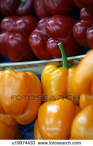 Bell peppers View Large Photo Image Stock Image - Bell peppers. Fotosearch