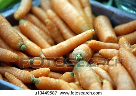 Carrots View Large Photo Image Stock Photo - Carrots. Fotosearch