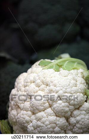 Picture - Cauliflower head. Fotosearch
