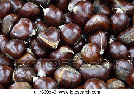 Chestnuts View Large Photo Image Stock Photo - Chestnuts. Fotosearch