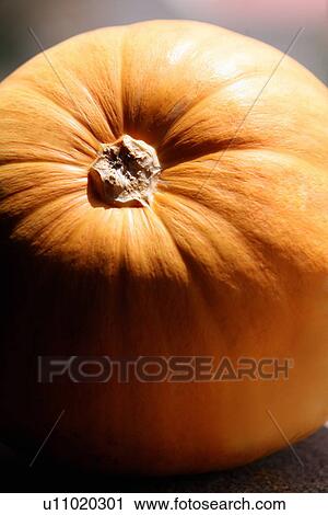 Stock Image - Closeup of pumpkin. Fotosearch