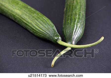 Stock Image - Cucumbers, black background. Fotosearch