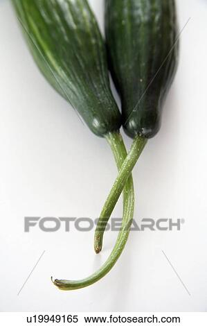 Stock Photography - Cucumbers, white background. Fotosearch