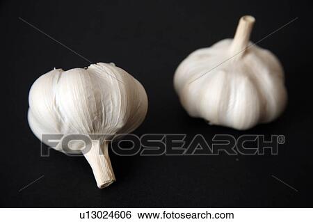 Garlic bulbs on black background View Large Photo Image Stock Photograph - Garlic bulbs on black background. Fotosearch