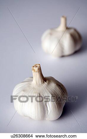Garlic bulbs on white background View Large Photo Image Picture - Garlic bulbs on white background. Fotosearch