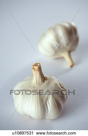 Garlic bulbs on white background View Large Photo Image Stock Image - Garlic bulbs on white background. Fotosearch