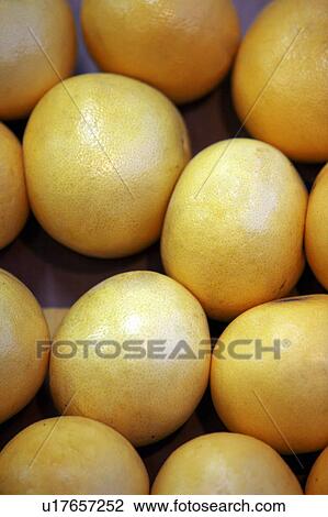 Stock Image - Grapefruit. Fotosearch