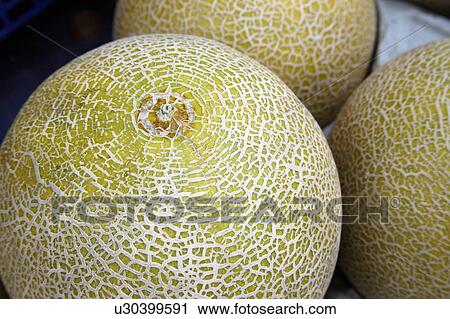 Stock Image - Melons. Fotosearch