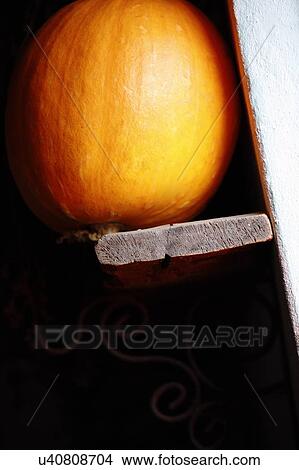 Pumpkin on a shelf View Large Photo Image Picture - Pumpkin on a shelf. Fotosearch
