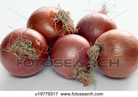 Red onions View Large Photo Image Stock Photo - Red onions. Fotosearch