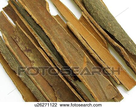 Cassia, Cinnamon, Whole, Sticks, Aromatic, Organic, Cooking View Large Photo Image Stock Image - Cassia, Cinnamon, Whole, Sticks, Aromatic, Organic, Cooking. Fotosearch