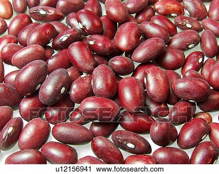 Kidney, Beans, Dried, Organic, Cooking, Seeds, Vegetable View Large Photo Image Stock Image - Kidney, Beans, Dried, Organic, Cooking, Seeds, Vegetable. Fotosearch