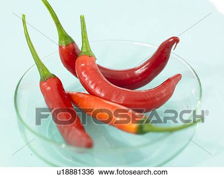 Bowl of Chili Peppers View Large Photo Image Stock Photograph - Bowl of Chili Peppers. Fotosearch