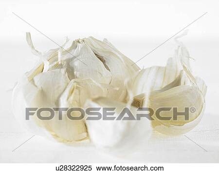 Bulb of Garlic opened up View Large Photo Image Stock Photography - Bulb of Garlic opened up. Fotosearch