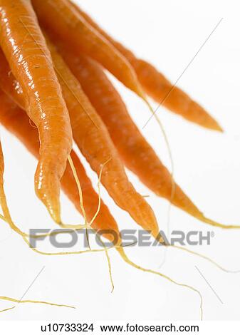 Bunch of Carrots View Large Photo Image Picture - Bunch of Carrots. Fotosearch