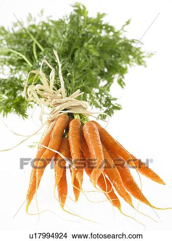 Bunch of Carrots tied with twine View Large Photo Image Picture - Bunch of Carrots tied with twine. Fotosearch