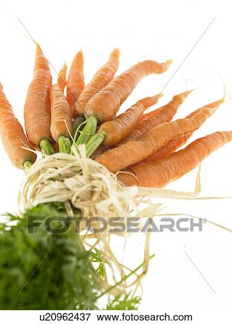 Bunch of raw carrots View Large Photo Image Stock Photo - Bunch of raw carrots. Fotosearch