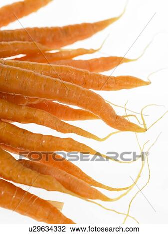 Bunches of Carrots View Large Photo Image Stock Image - Bunches of Carrots. Fotosearch