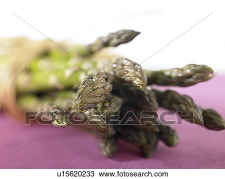 Bundle of asparagus View Large Photo Image Stock Image - Bundle of asparagus. Fotosearch