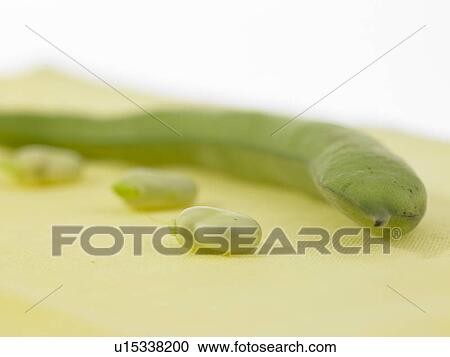 Stock Image - Close-up of broad beans. Fotosearch