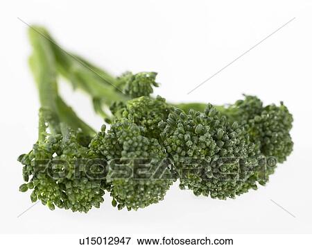 Stock Photo - Close-up of broccoli. Fotosearch
