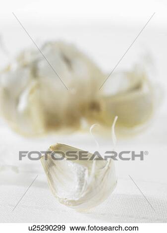 Stock Photo - Clove of garlic. Fotosearch