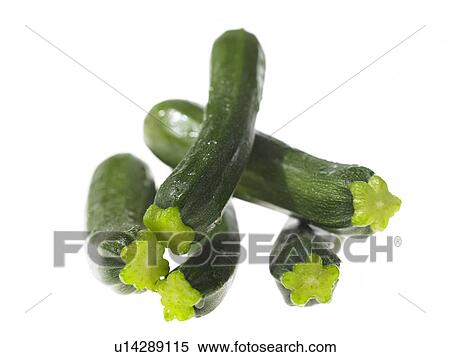 Courgette View Large Photo Image Stock Photography - Courgette. Fotosearch