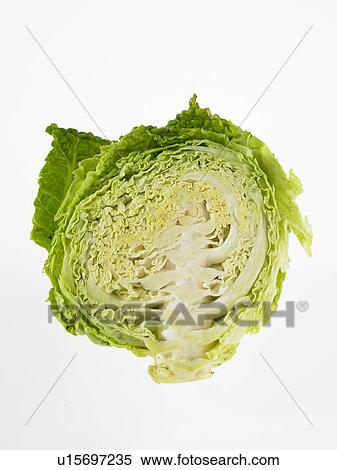 Stock Photography - Half head of Savoy Cabbage. Fotosearch