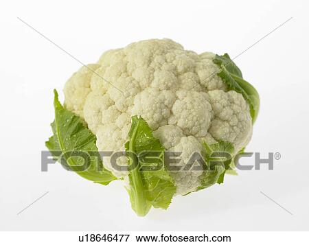 Stock Photo - Head of Cauliflower. Fotosearch