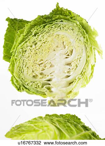 Head of Savoy Cabbage cut in half View Large Photo Image Stock Image - Head of Savoy Cabbage cut in half. Fotosearch