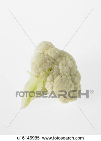 One Cauliflower Floret View Large Photo Image Stock Photography - One Cauliflower Floret. Fotosearch