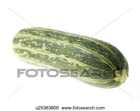 One green Marrow View Large Photo Image Stock Image - One green Marrow. Fotosearch