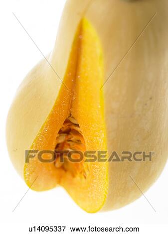 One Squash with a slice out of it View Large Photo Image Stock Photo - One Squash with a slice out of it. Fotosearch