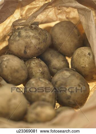 Stock Image - Paper bag of Potatoes. Fotosearch