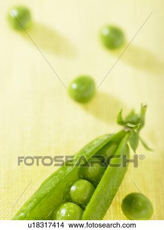 Picture - Peas in a pod.. Fotosearch