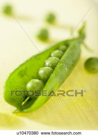 Stock Image - Peas in a pod. Fotosearch