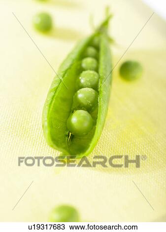 Stock Image - Peas in a pod. Fotosearch