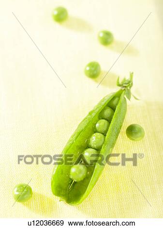 Stock Photo - Peas in a pod. Fotosearch