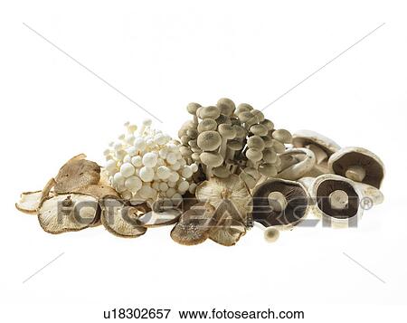 Pile of assorted Mushrooms View Large Photo Image Stock Photo - Pile of assorted Mushrooms. Fotosearch