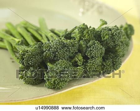 Pile of Tender Stem Broccoli View Large Photo Image Stock Photo - Pile of Tender Stem Broccoli. Fotosearch