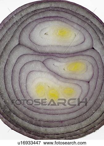 Raw Food, vegetables, Red Onions View Large Photo Image Stock Photo - Raw Food, vegetables, Red Onions. Fotosearch