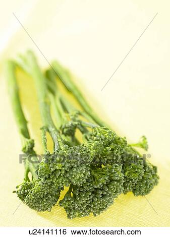 Stock Photograph - Raw Food, vegetables, Tender Stem Broccoli. Fotosearch