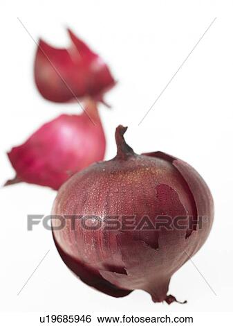 Red Onion and peel View Large Photo Image Stock Photograph - Red Onion and peel. Fotosearch