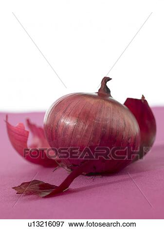 Red Onion View Large Photo Image Stock Photo - Red Onion. Fotosearch