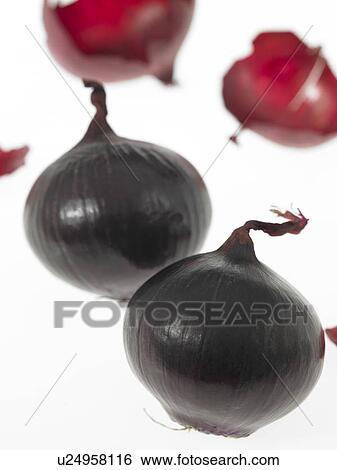 Red Onions View Large Photo Image Stock Photograph - Red Onions. Fotosearch