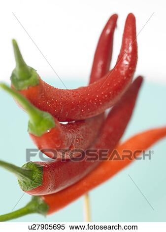 Stock Photography - Stack of four red chili peppers on a stick. Fotosearch